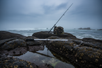 Coastal Gear Shot