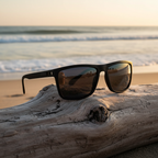 Polarized Sunglasses Close-Up