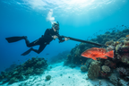 Underwater Hunt